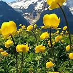 Ubaye.mexico Barcelonnette