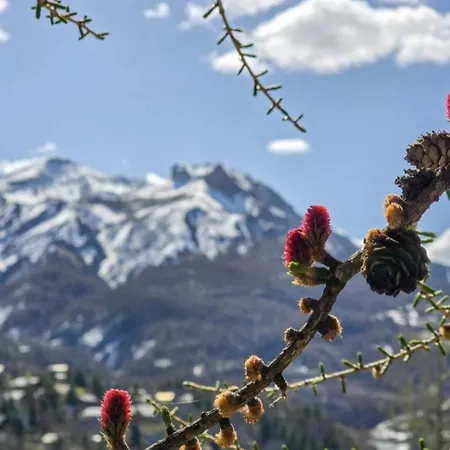 Ubaye.mexico